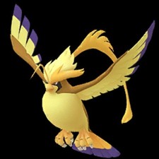 MEGA PIDGEOT "1 RAID SRVICE"