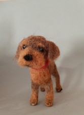 Rauhhaardackel gefilzt