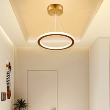 LED Ring Pendelleuchte
