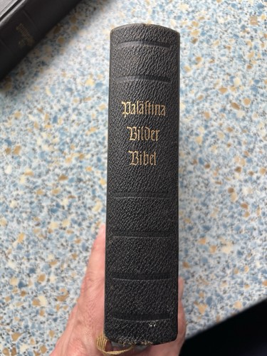 Alte bibel 1955 - bibel,