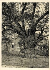 Künstler Ak Braune, Erwin