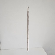 Antike Rarität  Gehstock