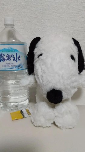 Snoopy plüschtier neu - snoopy,