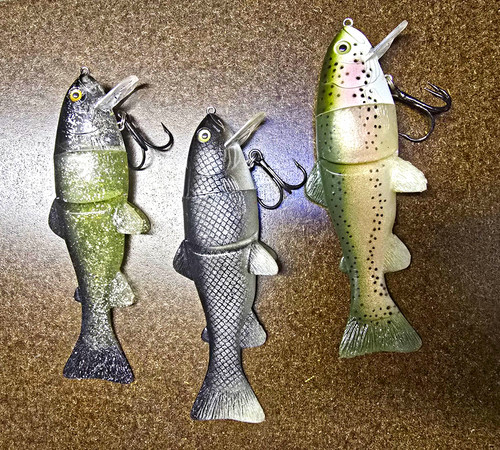 Castaic real bait - real, cm)