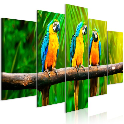 Papagei vogel natur grün - papagei,