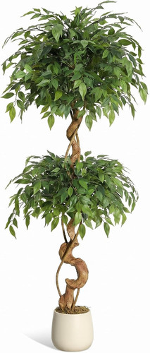 Künstlicher ficusbaum 150 - künstlicher,