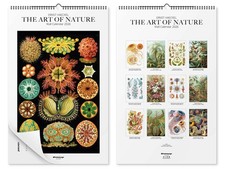 Wandkalender ernst haeckel - ernst,