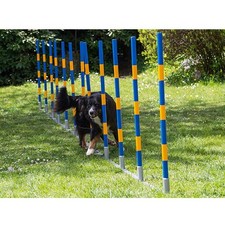 PROCYON Dog Agility Profi Alu