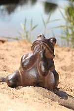 bettelnder Frosch aus