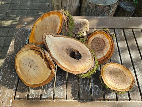 Holz wildkirsche lot für deko - lot,
