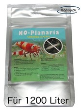 Planaria 50g planarien - planaria,