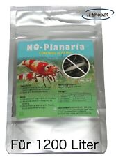 NO Planaria 50g Planarien Genchem Garnelen und Fisch Aquarium Wurm 1200 Liter
