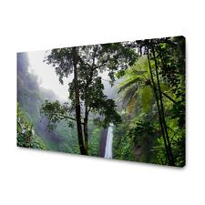 Leinwand-Bilder: Natur - Tropischer Wald, Größe: 40x30 cm bis 120x80 cm