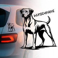 Rhodesian Ridgeback Auto