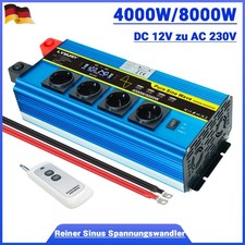 4000W 8000W Reiner Sinus