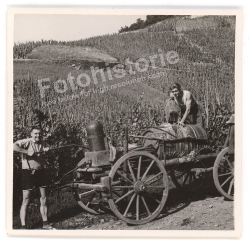 Foto weinlese - foto,