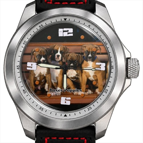 Boxer welpen niedliche - boxer,