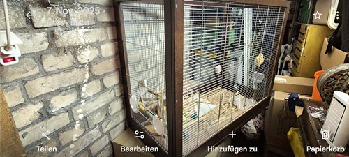 Voliere vogelkäfig holzrahmen - vogelkäfig,
