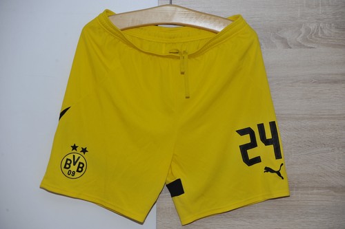 Bvb borussia dortmund - bvb,