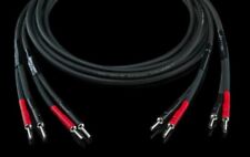 Horn Audiophiles "Maestro "