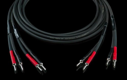 Horn audiophiles maestro - "maestro, "