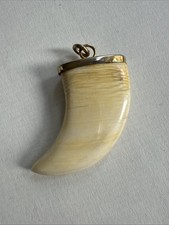 Anhänger Zahn (Tiger?)