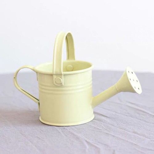 Gießkanne langhals design - gießkanne,