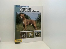 Mein gesunder American Staffordshire Terrier Robert Williams: