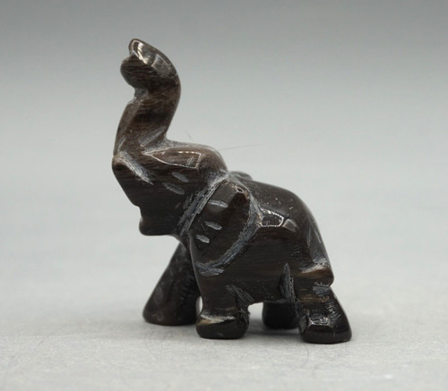 Wunderschöner elefant - wunderschöner,