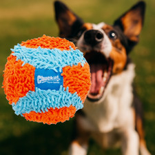 Chuckit indoor ball - indoor, cm