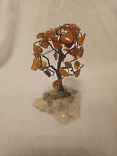  Glücksbäumchen Bonsai