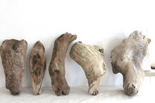 Schwemmholz Treibholz 5 Skulpturen - mega schön - L 21-23 cm  Lampe Engel