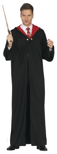 Zauber lehrling karneval - zauber,
