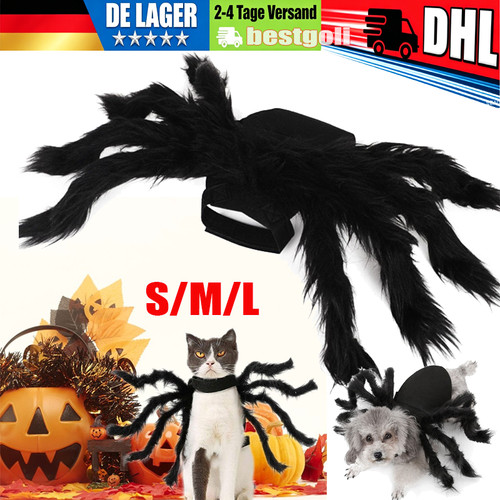 Tier haustier hund - tier,