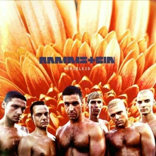 Rammstein herzeleid 1995 - rammstein, cd