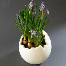 Blumentopf Übertopf Vase