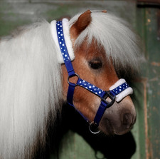 Halfter POLKA Punkte Nylon