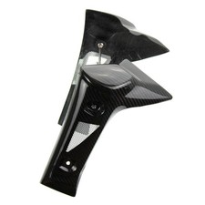 Carbon Kühlerschutz für