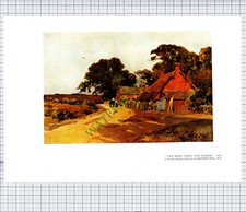 9503) Wilfrid Kugelkante