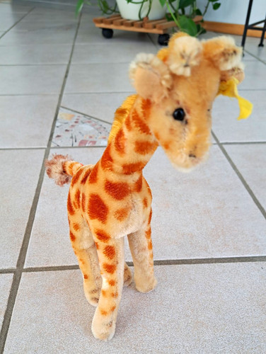 Original steiff tier - original,