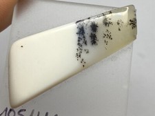 DENDRITENOPAL Freeform (10.51