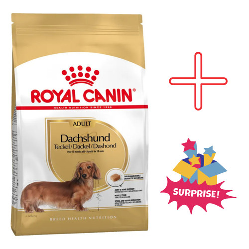 Royal canin dachshund - canin, adult