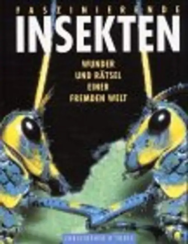 Faszinierende insekten wunder - faszinierende, insekten.