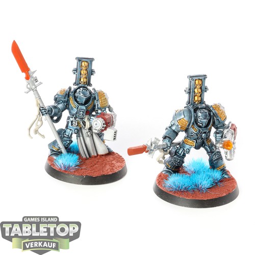 Grey knights paladins - grey,