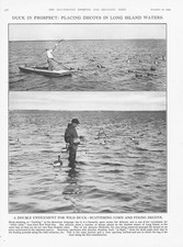 Entenjagd im Long Island