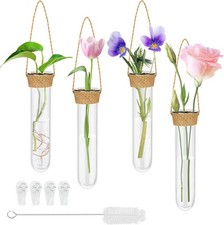 Deko Reagenzglas Vase