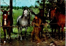 Winnetou Movie Scene Western