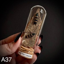 AUSVERKAUF - ATEMBERAUBENDE