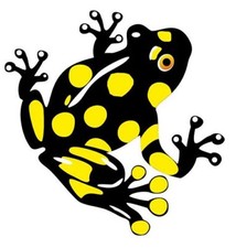 Aufkleber Sticker Frosch