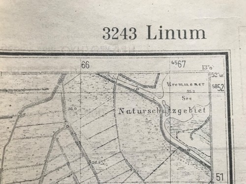 Linum osthavelland - linum,,
